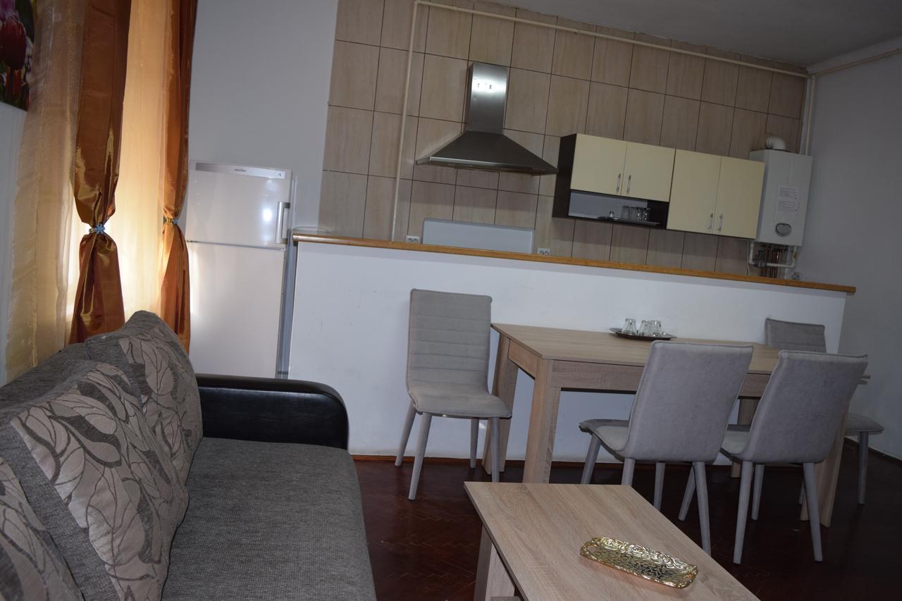 Pension Casa Samurai Brasov Exterior photo